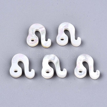 Natural White Shell Beads X-SSHEL-ZX004-02J-1