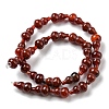 Natural Agate Beads Strands G-C039-C01-3
