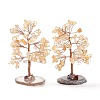Natural Citrine Chips & Agate Pedestal Display Decorations DJEW-A001-04D-1