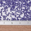 MIYUKI Delica Beads SEED-X0054-DB1569-4