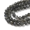 Natural Labradorite Beads Strands G-L622-C03-4mm-4
