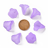 Transparent Acrylic Bead Caps PL551-C08-3