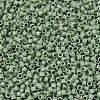 MIYUKI Delica Beads SEED-MY11-DB2310-3