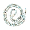 Natural Larimar Beads Strands G-F785-B01-01A-5