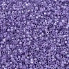 MIYUKI Delica Beads X-SEED-J020-DB1753-3