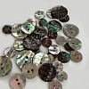 Abalone Shell/Paua Shell BSHE-I011-04A-5