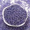 Glass Seed Beads X1-SEED-S042-04A-08-2