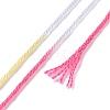 10 Skeins 6-Ply Polyester Embroidery Floss OCOR-K006-A75-3