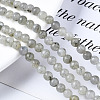 Natural Labradorite Round Beads Strands G-S158-4mm-4