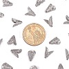Tarnish Resistant Apetalous 316 Surgical Stainless Steel Cone Bead Caps STAS-M257-02-2