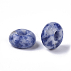 Natural Blue Spot Jasper European Beads G-Q503-09-2