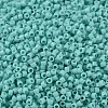 MIYUKI Delica Beads SEED-J020-DB1136-2