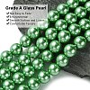 Eco-Friendly Glass Pearl Beads Strands HY-A008-12mm-RB008-3