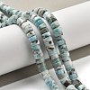 Natural Larimar Beads Strands G-Q024-B03-05-2
