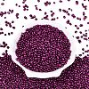Baking Paint Glass Seed Beads GLAA-Q119-01-B05-2