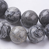 Natural Map Stone/Picasso Stone/Picasso Jasper Beads Strands G-G047-12mm-3