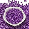 Baking Paint Pearlized Glass Seed Beads SEED-C001-04A-18-2