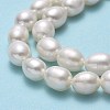 Natural Cultured Freshwater Pearl Beads Strands PEAR-J006-17D-4