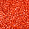 Opaque Baking Paint Glass Seed Beads SEED-T008-02J-3