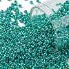 TOHO 11/0 Round Beads SEED-XTR11-PF0569-1