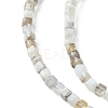 Natural Botswana Agate Beads Strands G-F748-C01-4