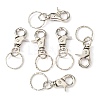 Iron Swivel Clasps with Key Rings HJEW-H017-P-4