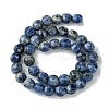 Natural Blue Spot Jasper Beads Strands G-H023-A07-01-3