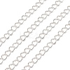 Iron Twisted Chains CH-0.7DK-S-1