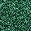 MIYUKI Delica Beads SEED-X0054-DB1788-3