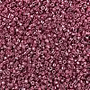 MIYUKI Delica Beads SEED-J020-DB0428-3