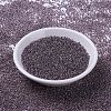 MIYUKI Round Rocailles Beads X-SEED-G007-RR3206-2