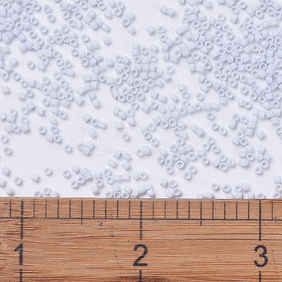 MIYUKI Delica Beads X-SEED-J020-DB0357-1