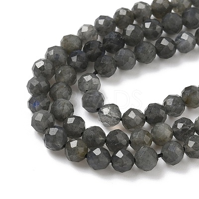 Natural Labradorite Beads Strands G-L622-C03-4mm-1