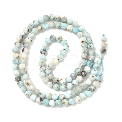 Natural Larimar Beads Strands G-F785-B01-01A-1