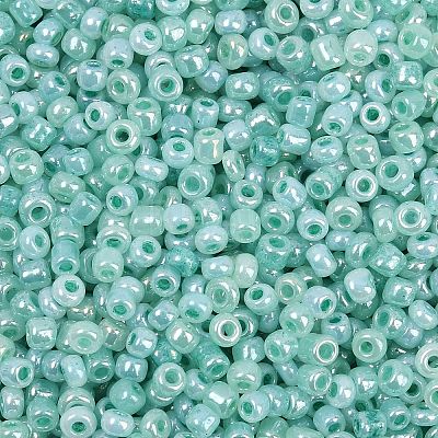 Glass Seed Beads SEED-XCP0001-48-1