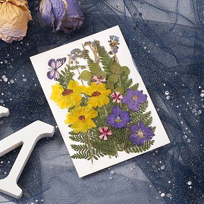 Pressed Dried Flowers DIY-YWC0001-97-1