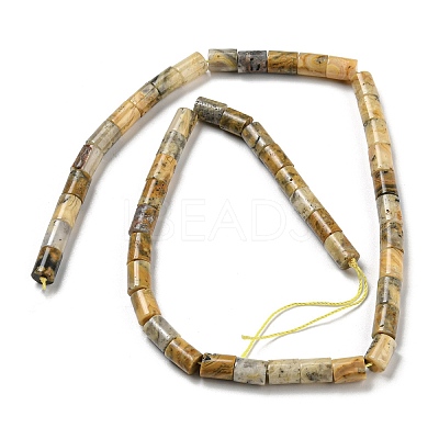 Natural Crazy Lace Agate Beads Strands G-Q1008-A08-1