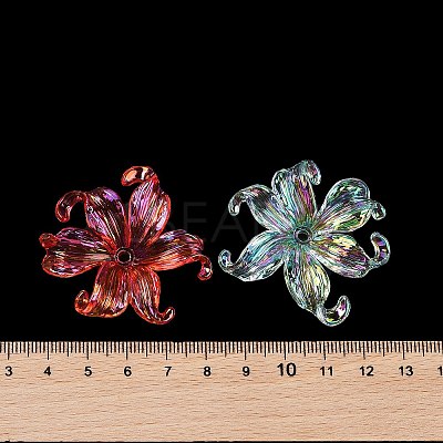 Transparent Acrylic Beads MACR-K358-06A-1