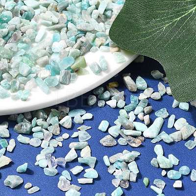 Natural Amazonite Chip Beads G-O103-08-1