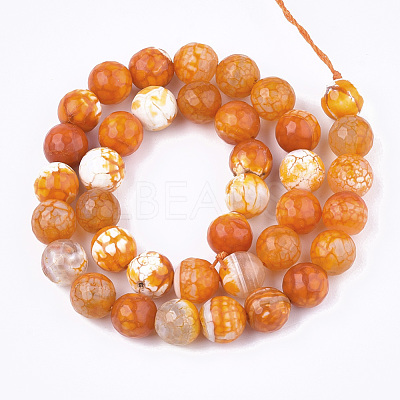 Natural Crackle Agate Beads Strands G-T119-01C-08-1