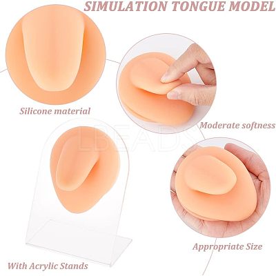 Soft Silicone Tongue Flexible Model Body Part Displays with Acrylic Stands ODIS-WH0002-23-1