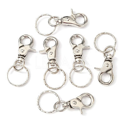Iron Swivel Clasps with Key Rings HJEW-H017-P-1
