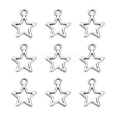 Tibetan Style Alloy Charms X-LF10651Y-NF-1