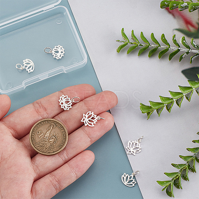 6Pcs 3 Styles 925 Sterling Silver Charms STER-PH0002-86-1