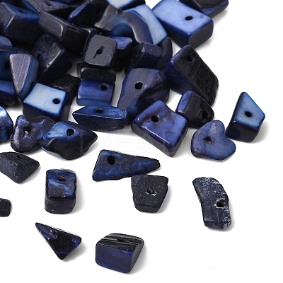 Dyed Natural Freshwater Shell Chips Beads X-SHEL-O001-12C-1
