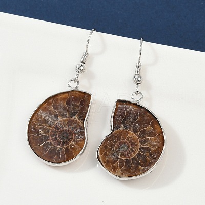 Fossil Spiral Dangle Earrings EJEW-P153-01-1
