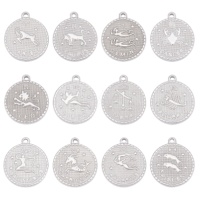 12Pcs 12 Style 304 Stainless Steel Pendants STAS-UN0026-15-1
