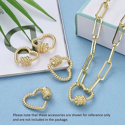 Brass Screw Carabiner Lock Charms ZIRC-E164-13G-1