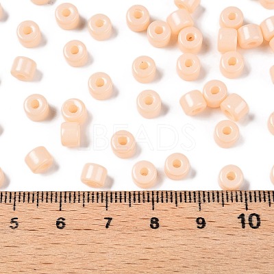 Opaque Baking Paint Glass Seed Beads SEED-T008-02C-1