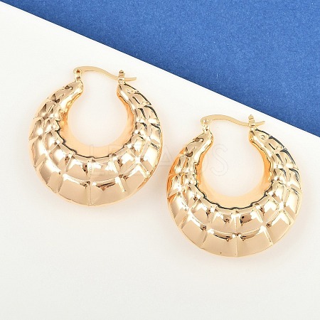 Brass Hoop Earrings EJEW-H168-07G-1